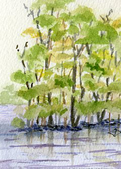 High Water Gretel Dentine Madison WI watercolor  SOLD
